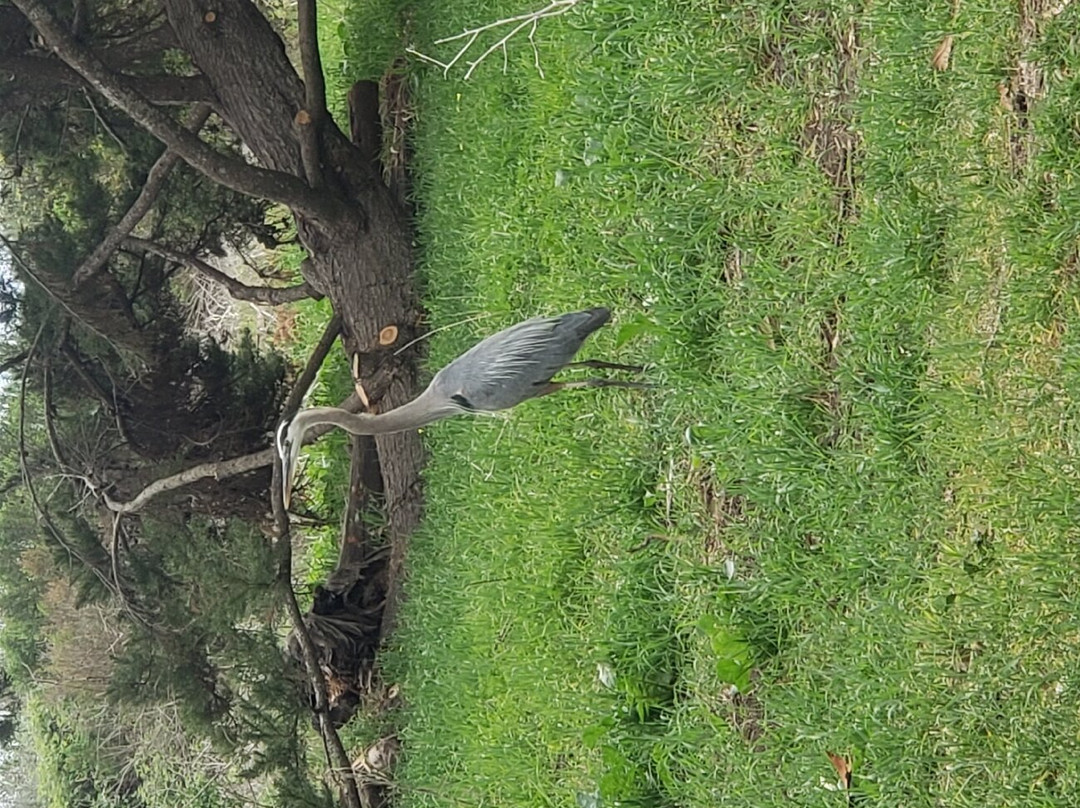 Douglas Family Preserve-圣巴巴拉必去景点