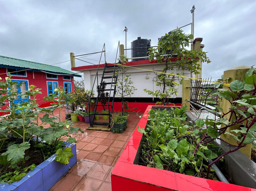 Eagle Nest Home Stay主图