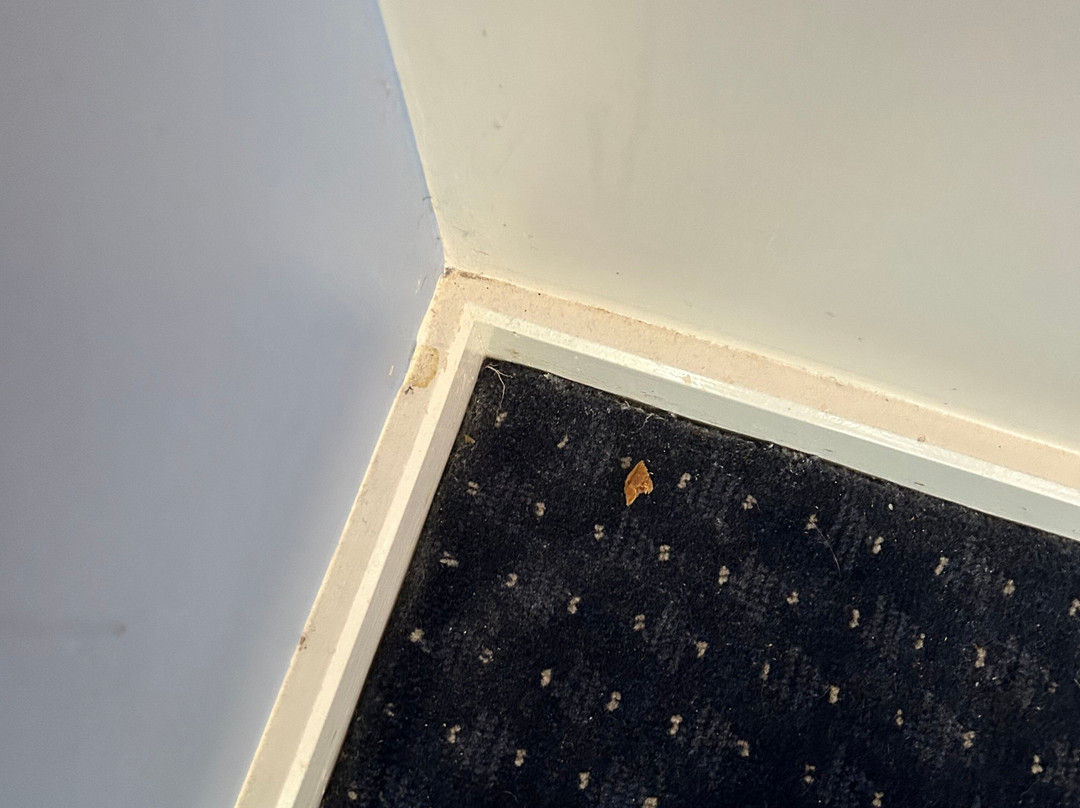 Travelodge Newbury Tot Hill主图