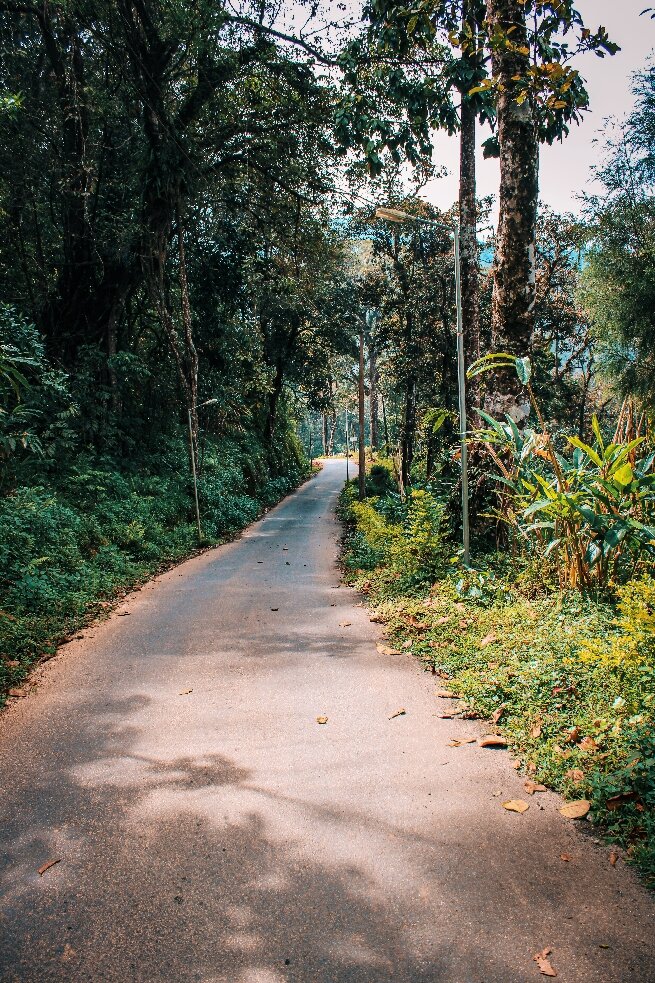 Deep Woods Resort-官方