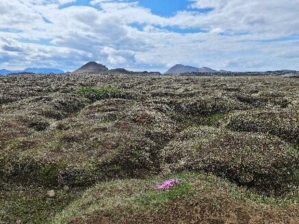 Leirhnjukur-米湖必去景点