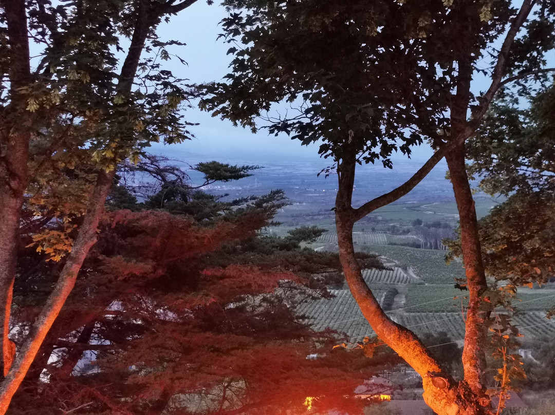 科亚多城堡酒店主图