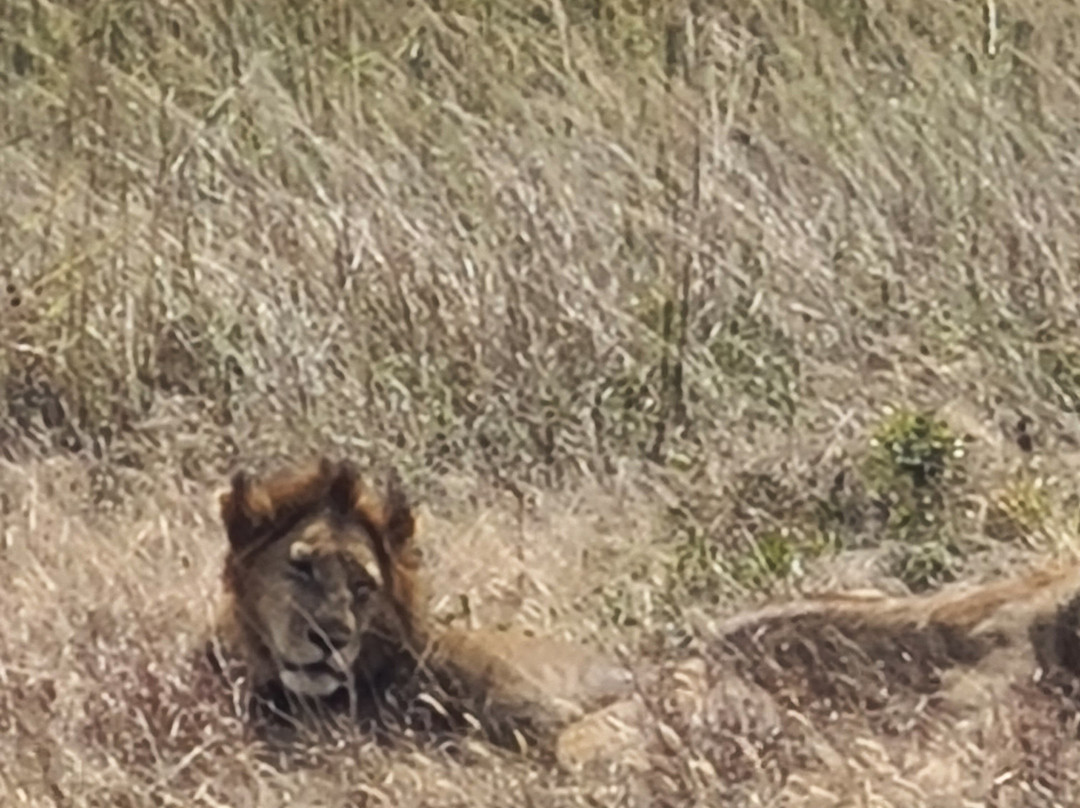 Zanvert Tours & Safaris-桑给巴尔市必去景点