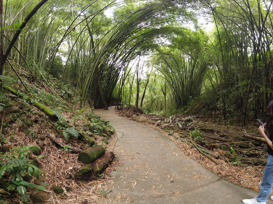 Vida Park-亚美尼亚必去景点