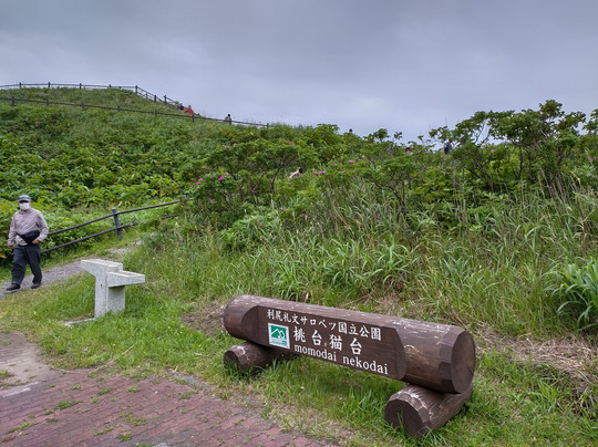 Momodai Nekodai Observatory-礼文町必去景点