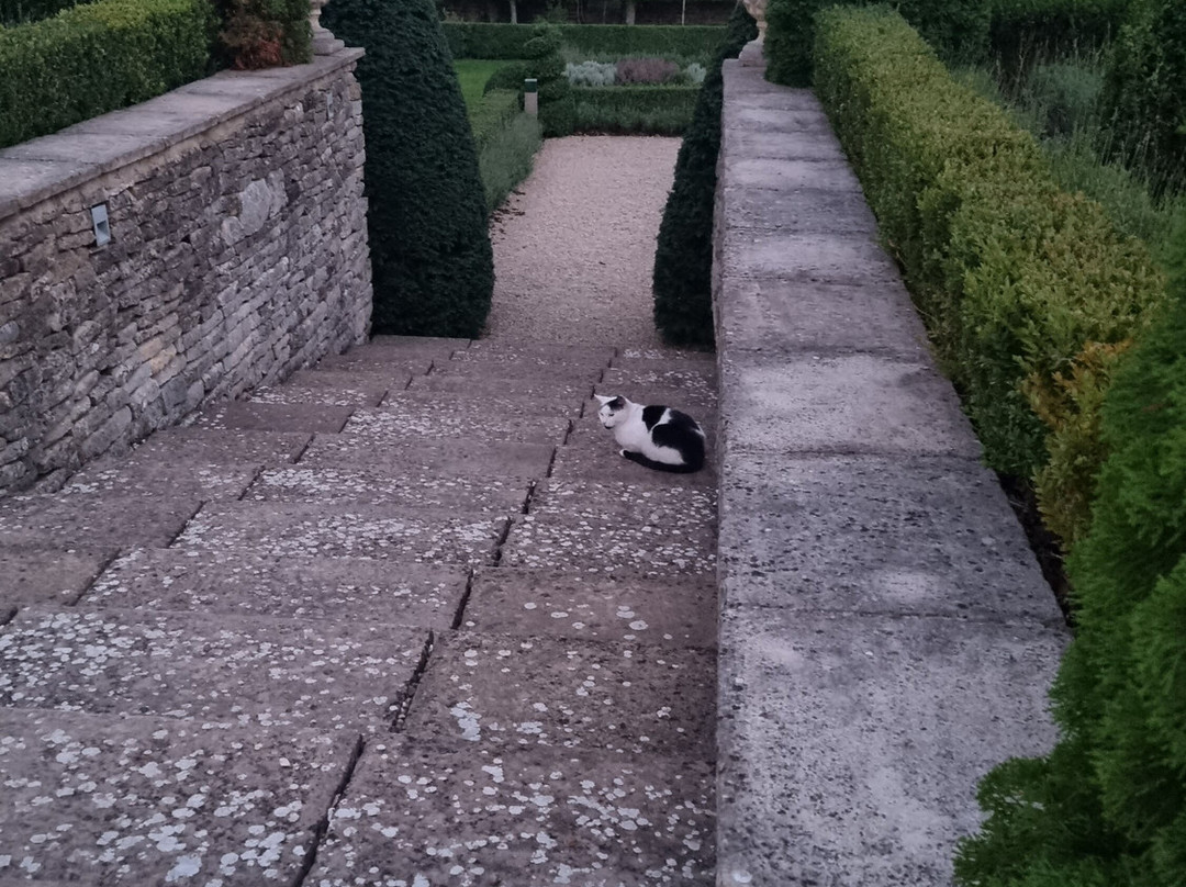 Court House Manor主图