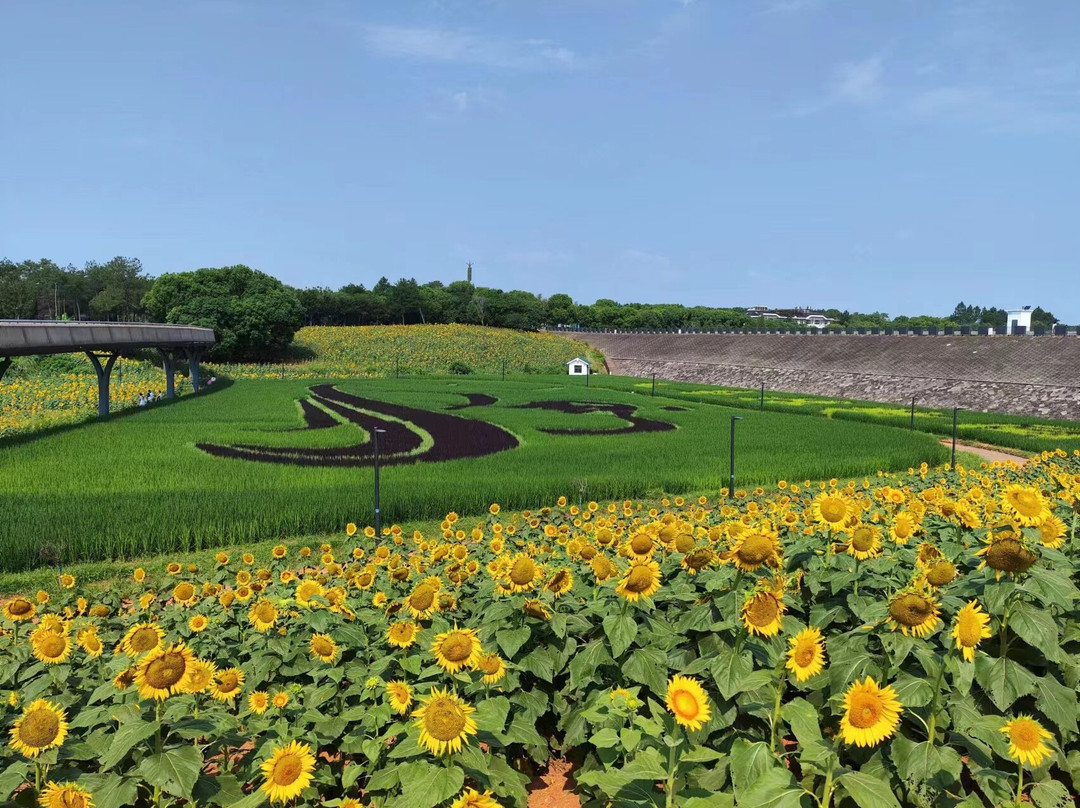 Yiwu Botanical Garden-义乌市必去景点