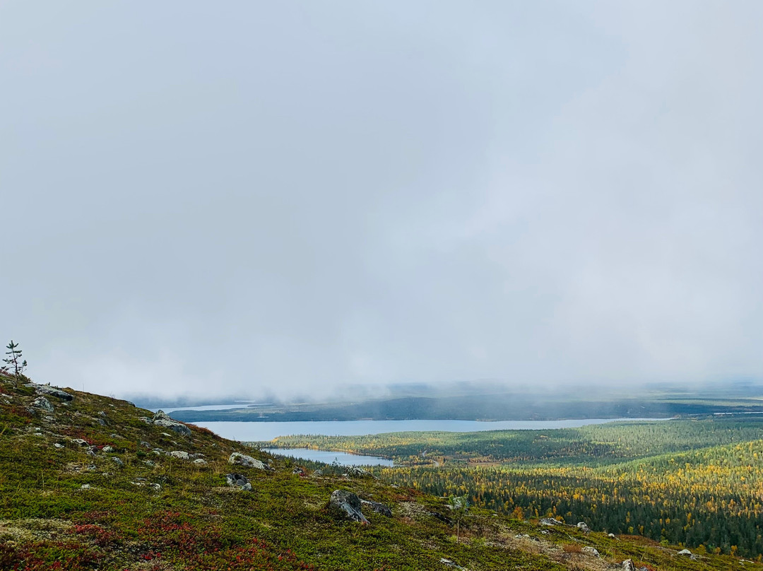Wildmaker Lapland景点图片