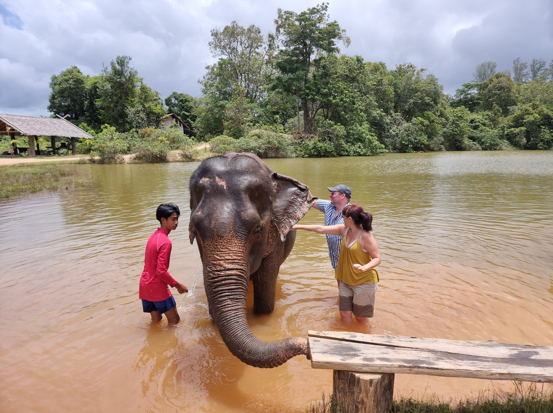 Phuket Elephant House Sanctuary景点图片