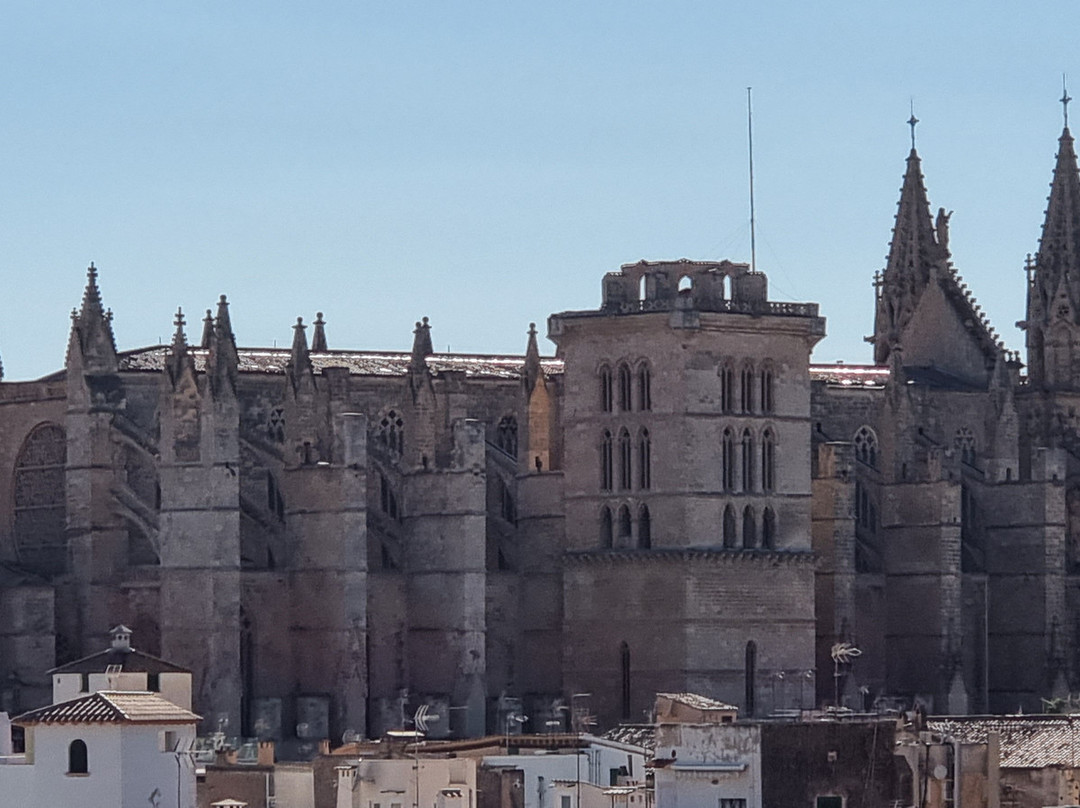 Hotel Basilica主图