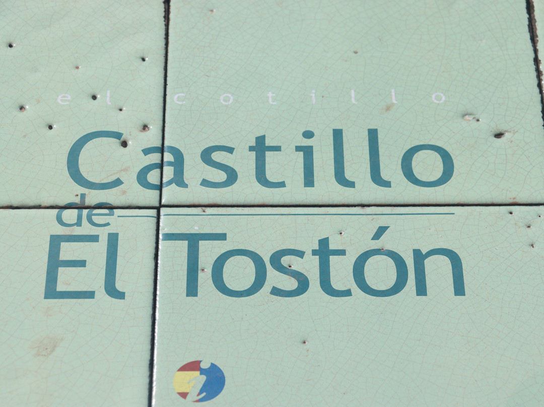 Castillo de El Toston景点图片