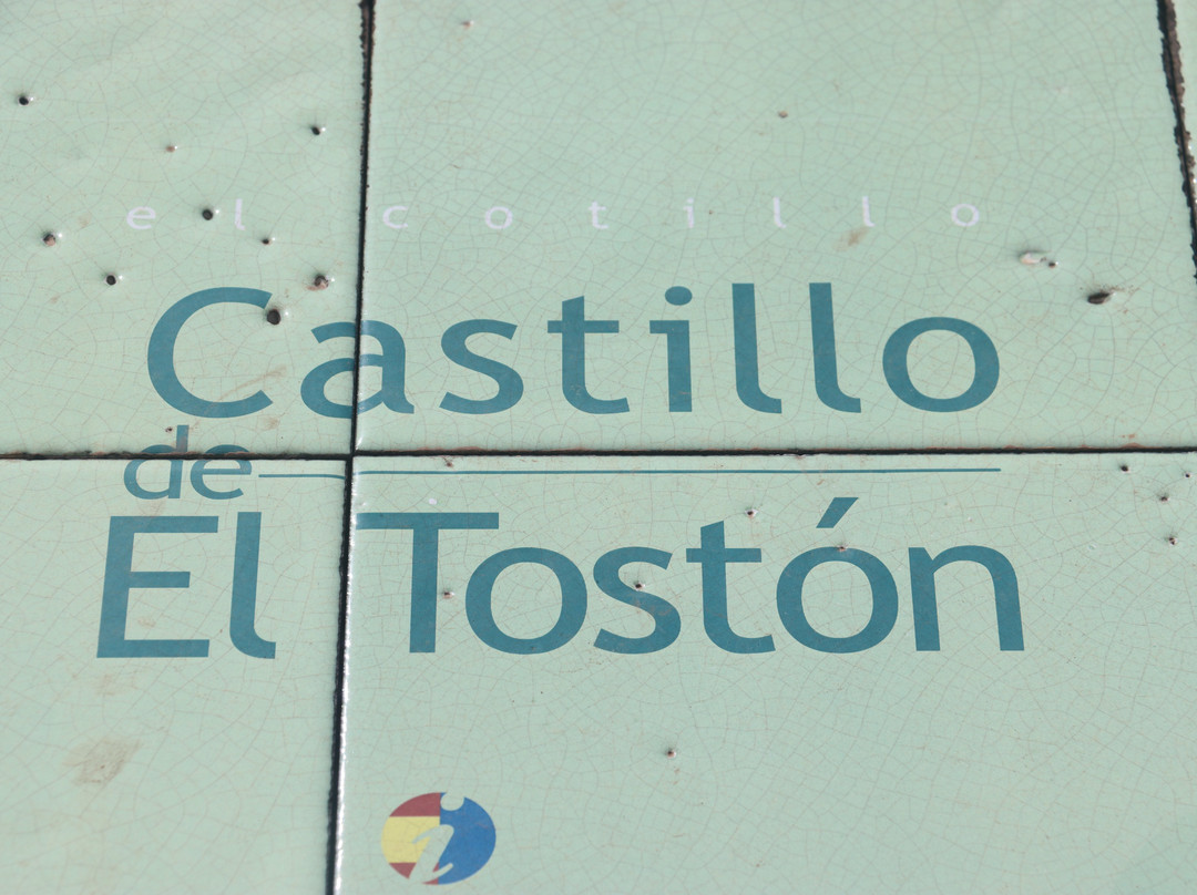 Castillo de El Toston景点图片