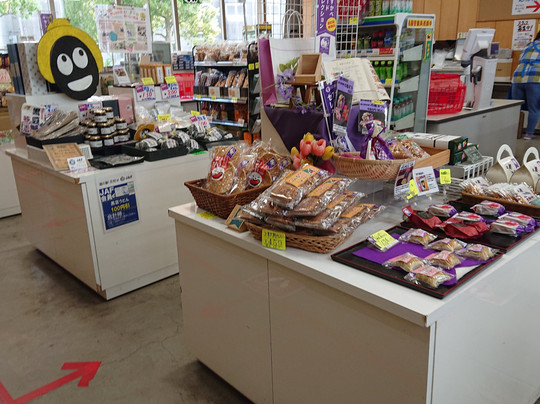 Michi-no-Eki Showa-春日部市必去景点