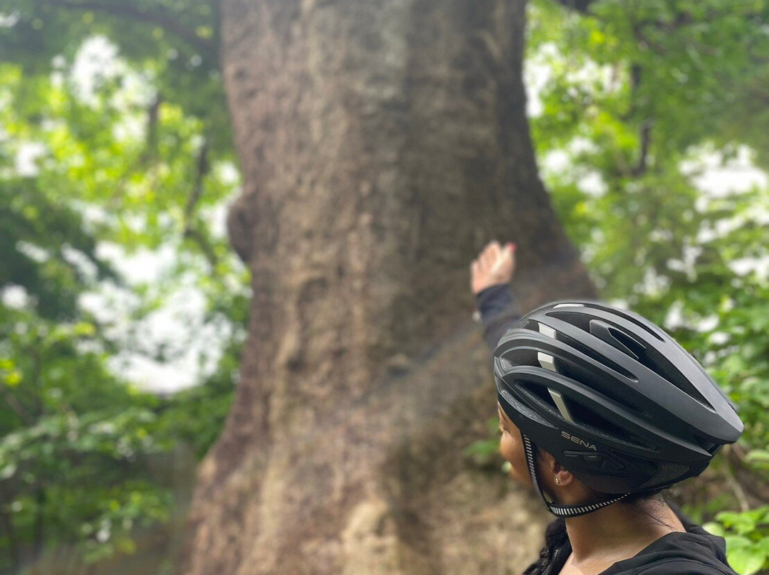 Discovery Bicycle Tours Okinawa / e-CHARIty Naha-那霸市必去景点