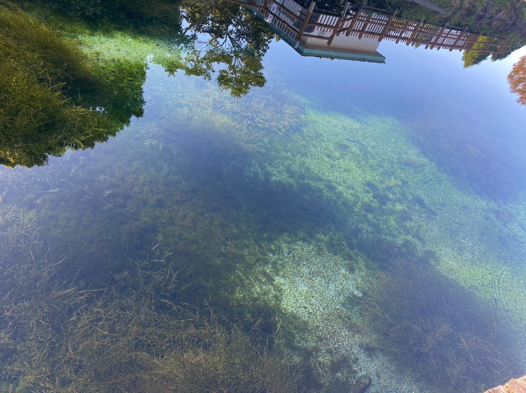 Maruike Pond Spring Water at the foot of Mt. Kirishima景点图片