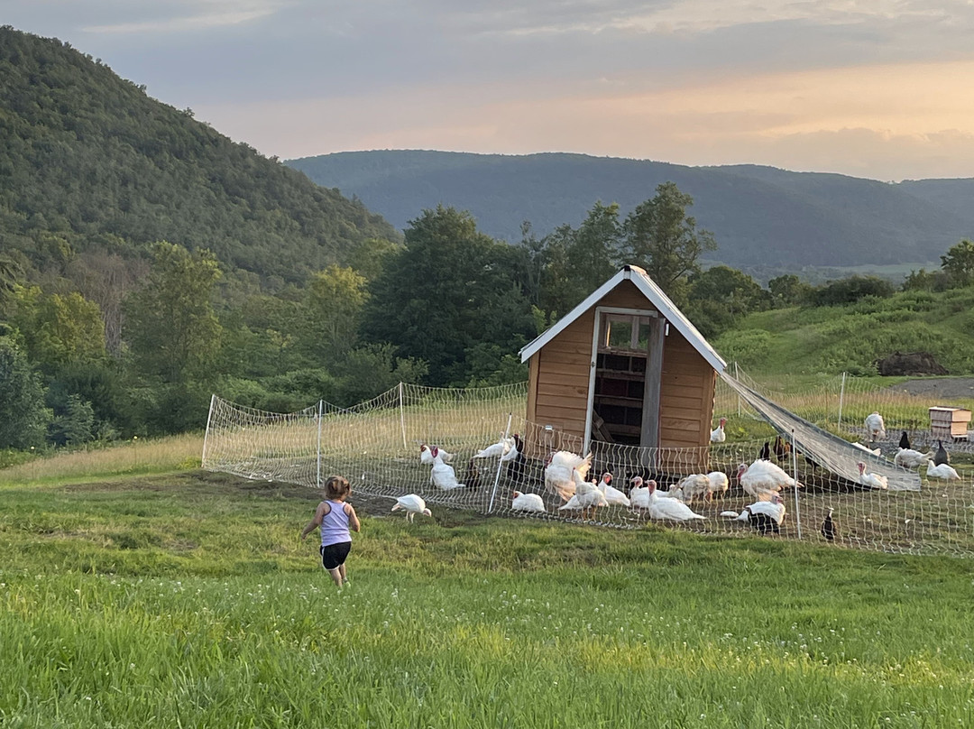 ZiegenVine Homestead景点图片
