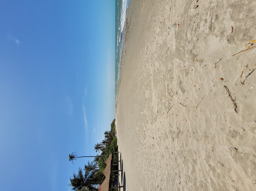 Carnaubinhas Beach景点图片