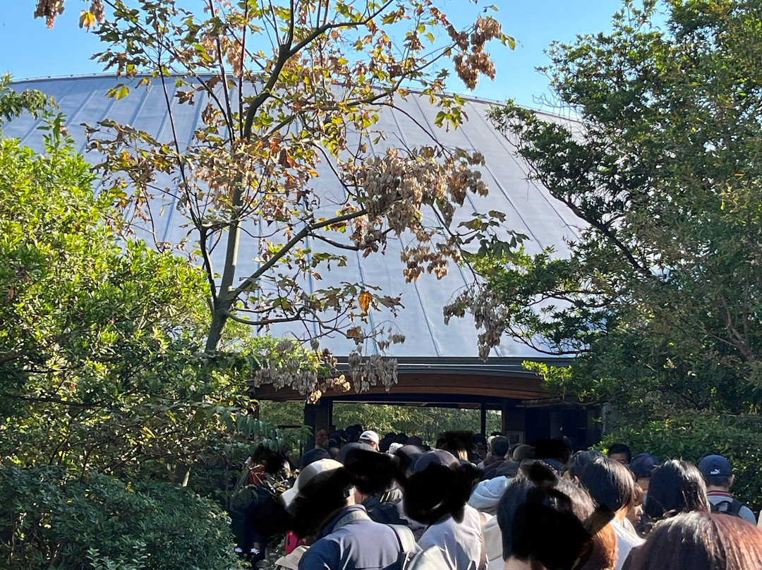 The Kochi Prefectural Makino Botanical Garden-高知市必去景点