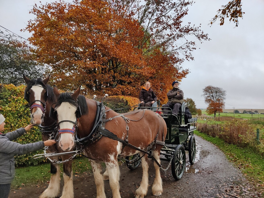 Peggyslea Clydesdales-Penicuik必去景点