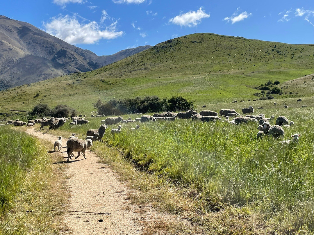 Trail Adventures-Frankton必去景点