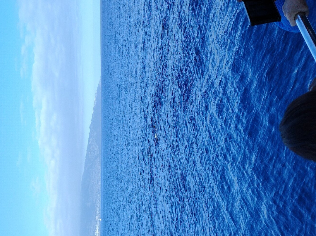 Magic Dolphin-沙尔必去景点