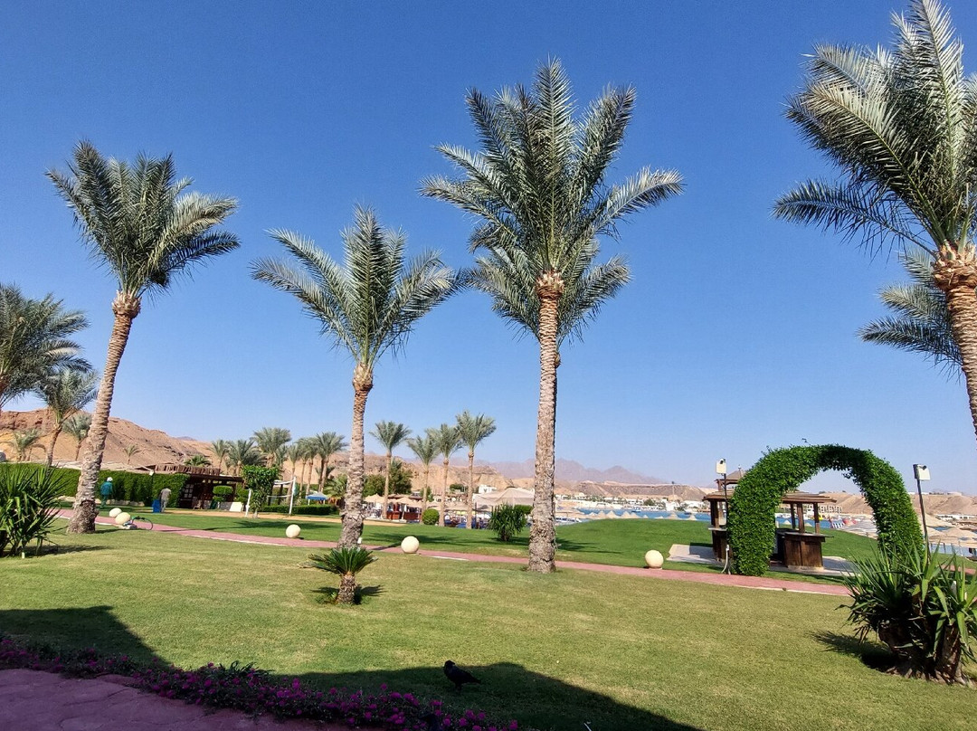 Xperience Golden Sandy Beach主图