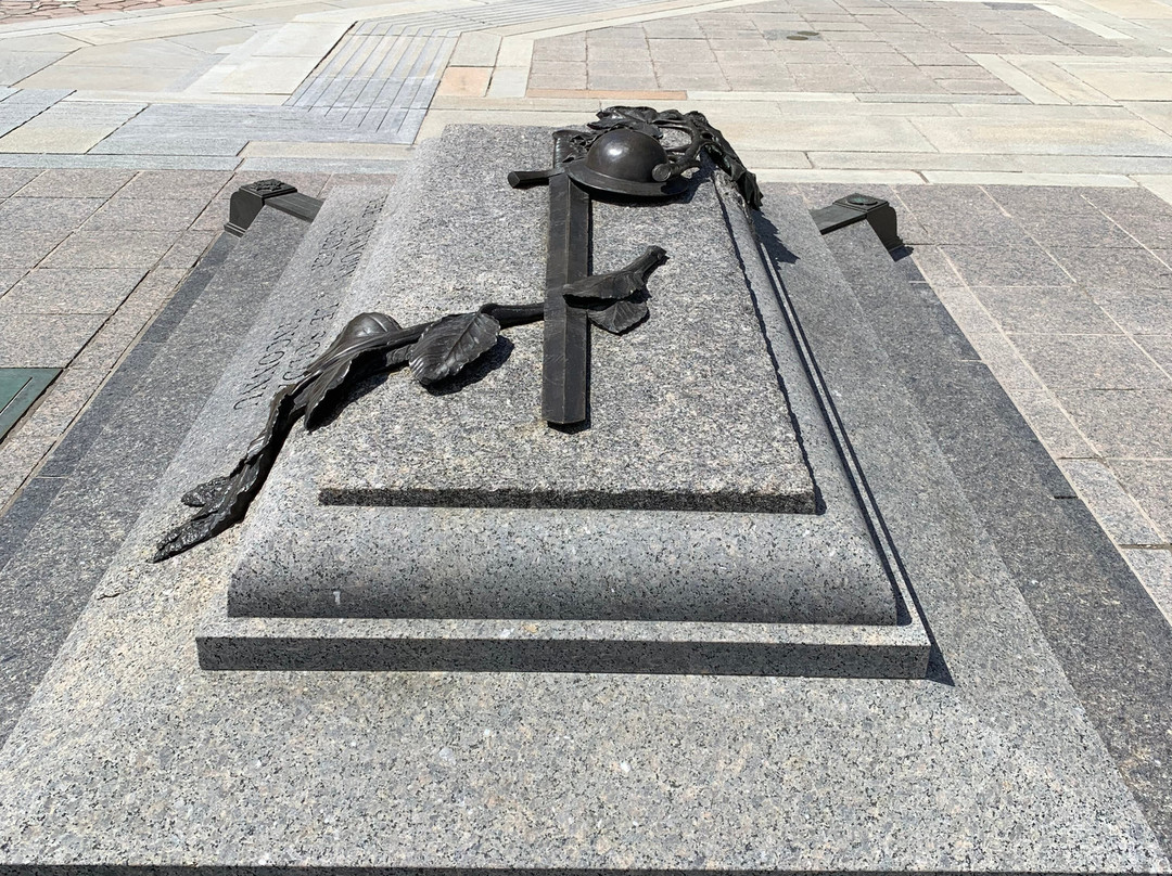 Tomb of the Unknown Soldier-渥太华必去景点