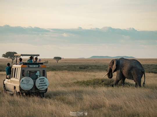 Atzmon Dagan - Safari & Diving trips, photography workshops | Photographer & filmmaker-阿鲁沙必去景点