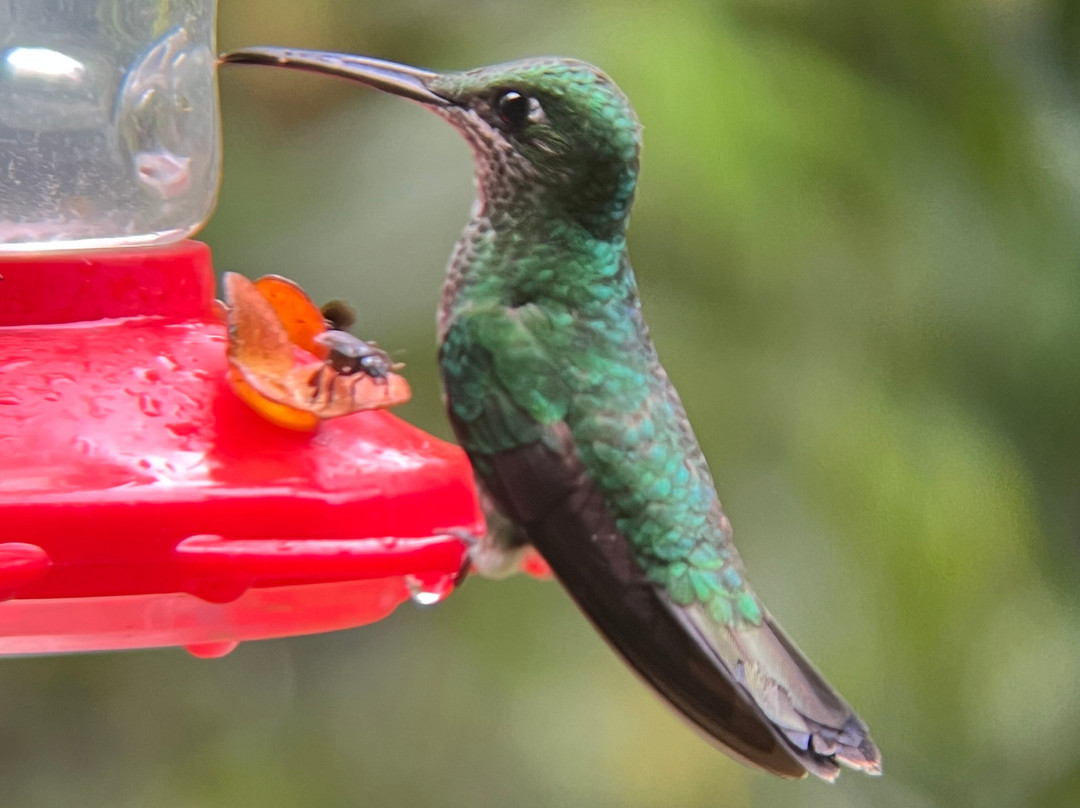 Kapari Natural Lodge & Spa主图