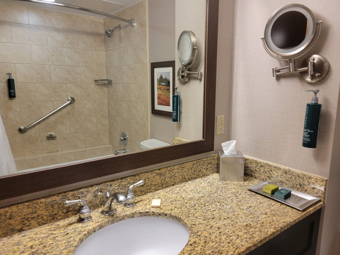 温尼伯机场希尔顿套房酒店主图