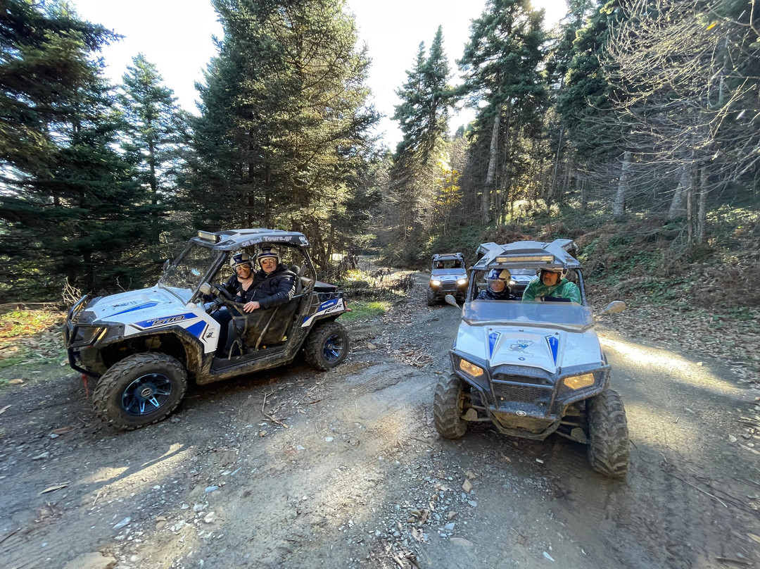 off road tours-卡尔派尼西必去景点