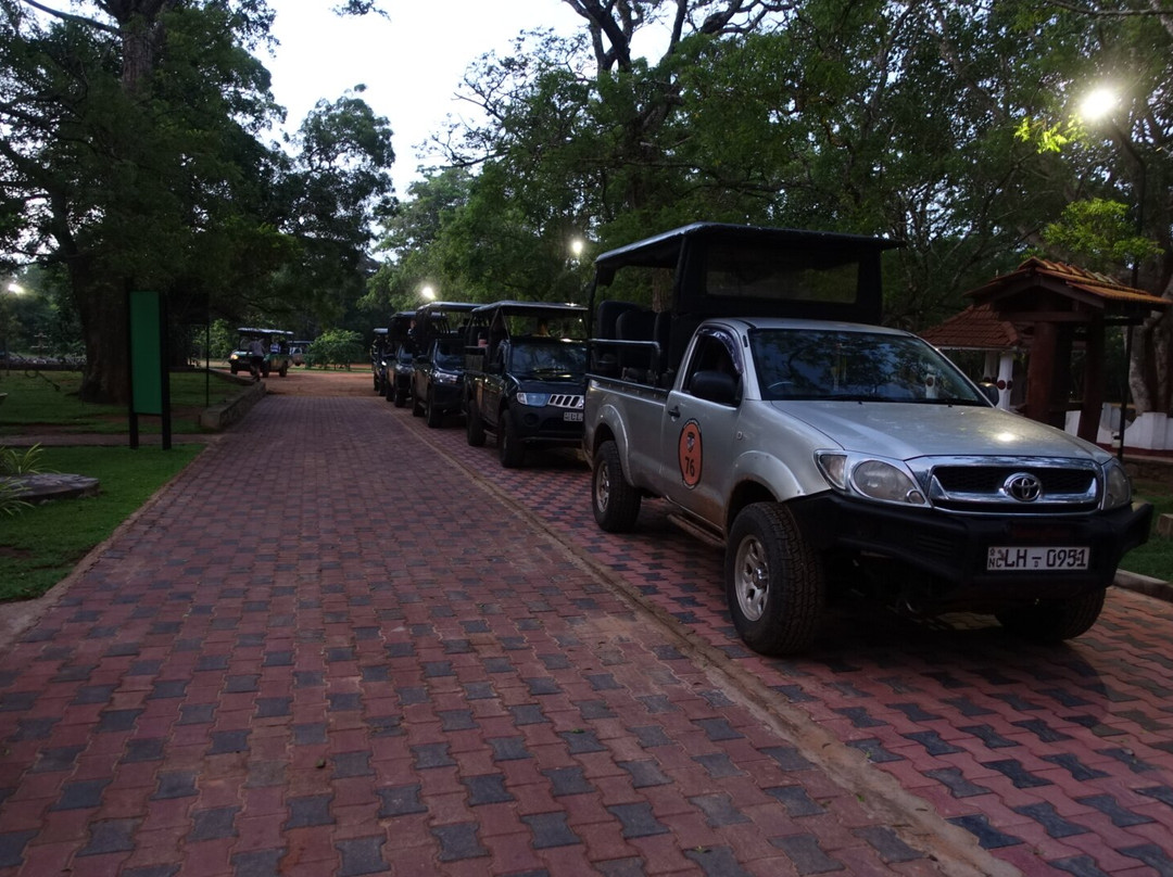 Experiential Traveller Sri Lanka-科伦坡必去景点