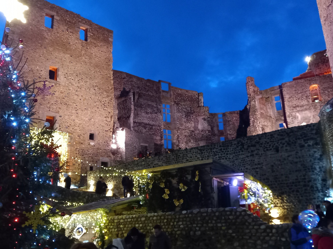 Château de Montrond les Bains景点图片