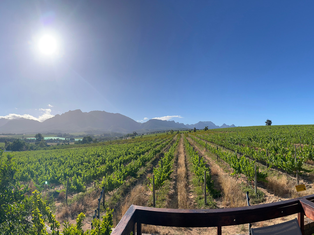 Wellington Country House主图