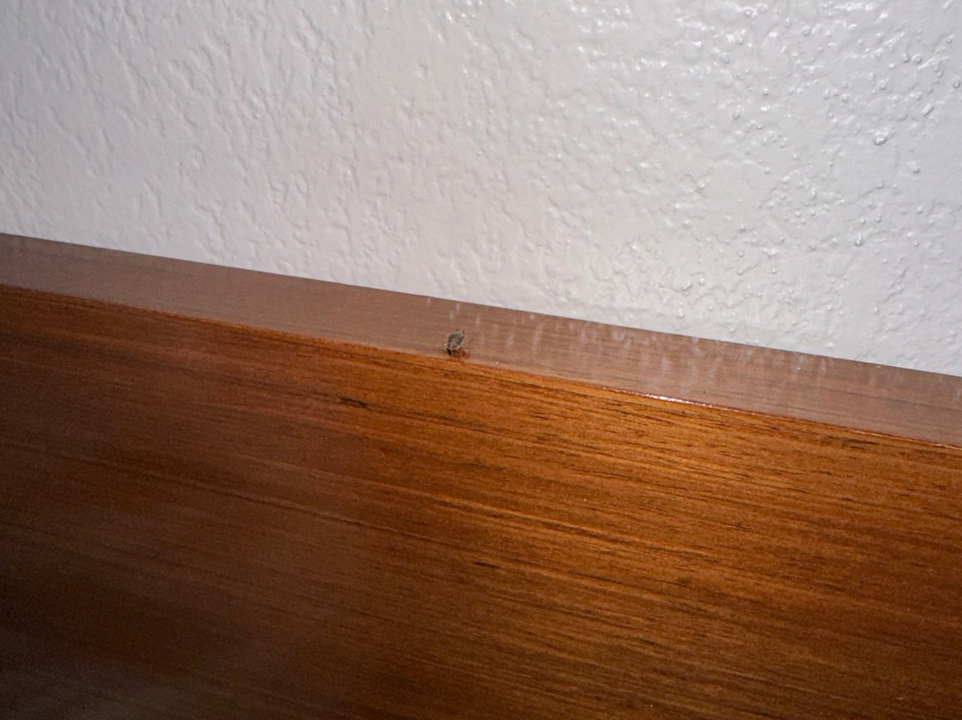 Fairfield by Marriott Inn & Suites Jackson Airport主图