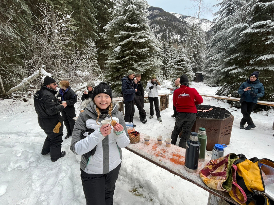 Cold Fire Creek Dogsledding-维尔蒙特必去景点