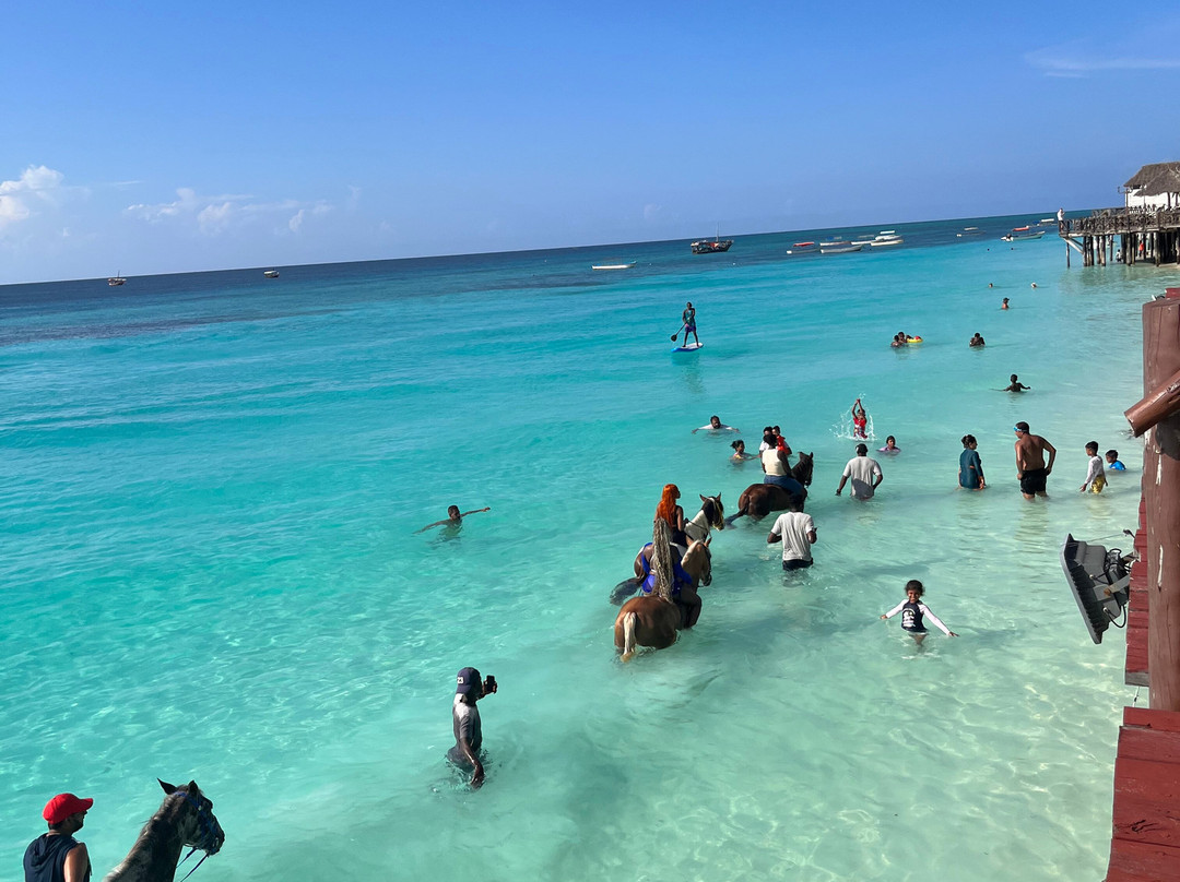 Unique Zanzibar Taxi-桑给巴尔市必去景点