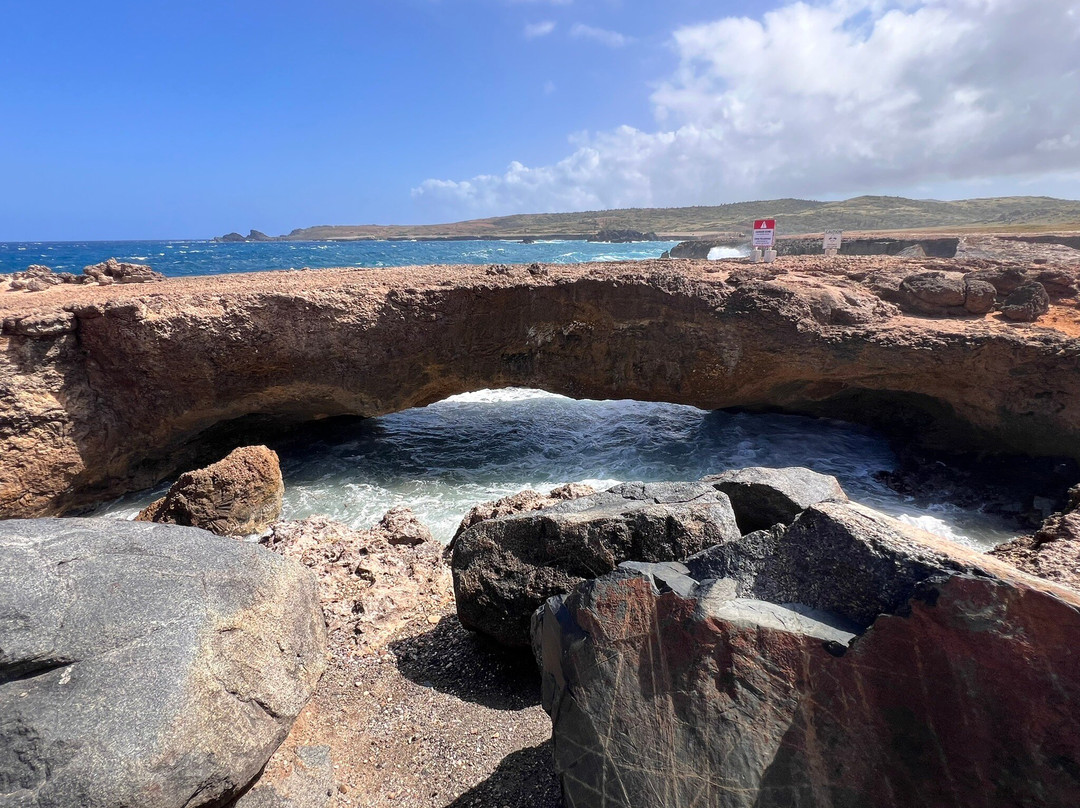 Aruba Fantasy Tours-奥腊涅斯塔德必去景点