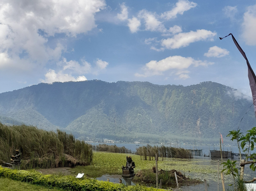 Bali Trip Driver Hire  - Driver in Bali-乌布必去景点