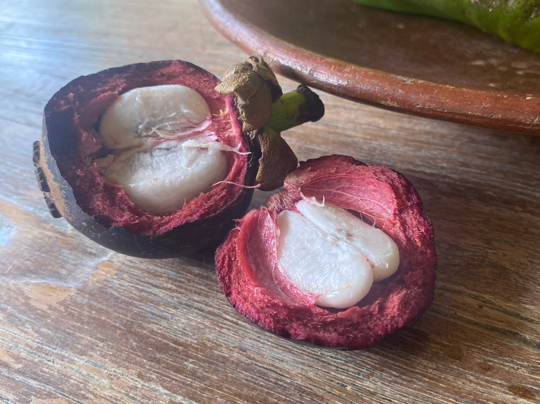 Traveling Spoon-乌布必去景点