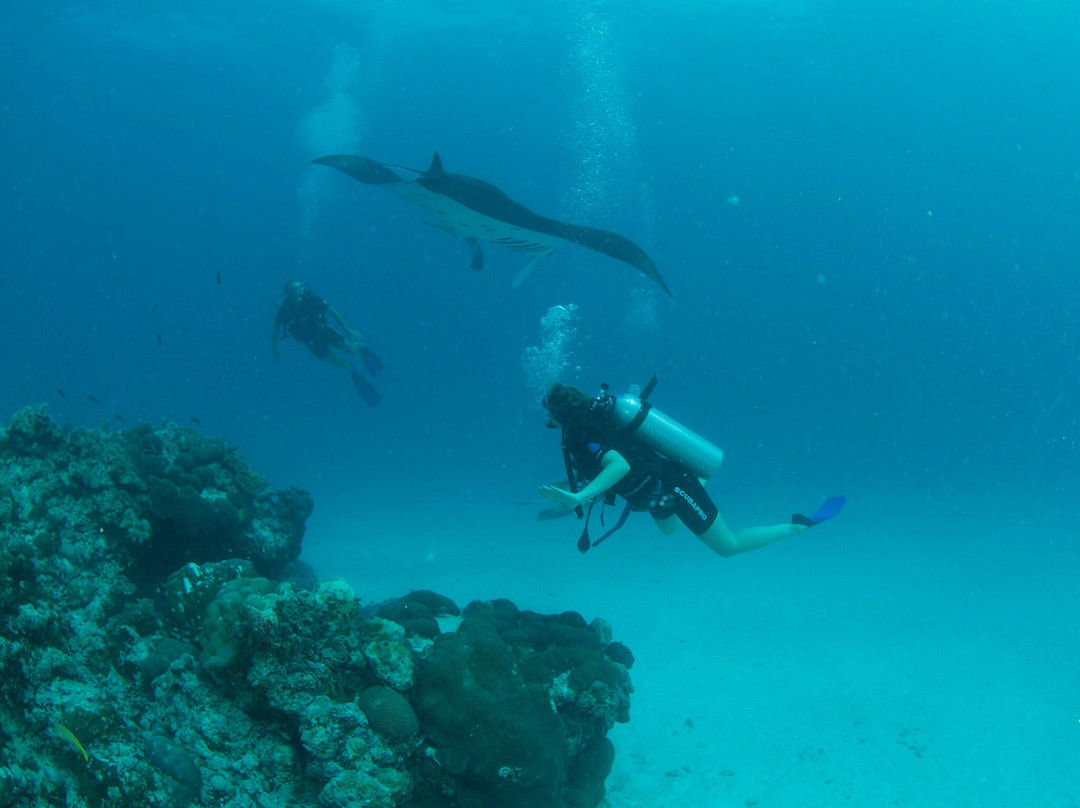 Dive Ukulhas-乌库拉斯必去景点