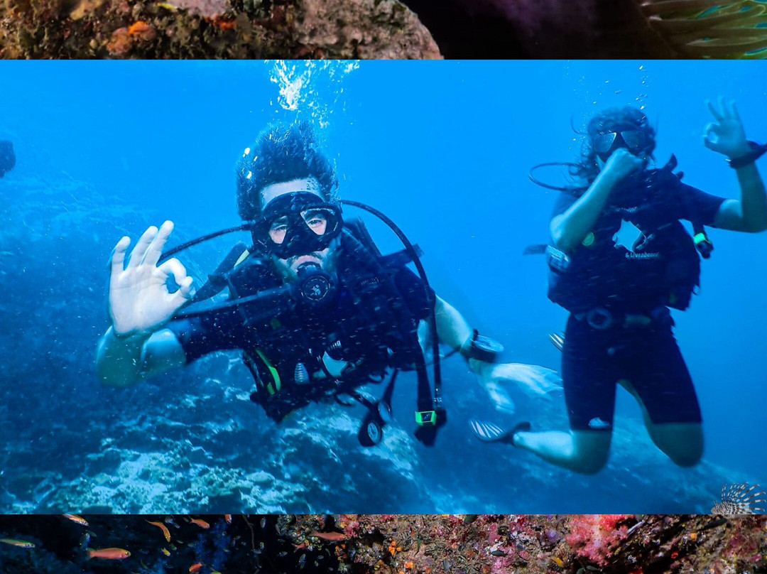 Forra Diving - Day Tour景点图片