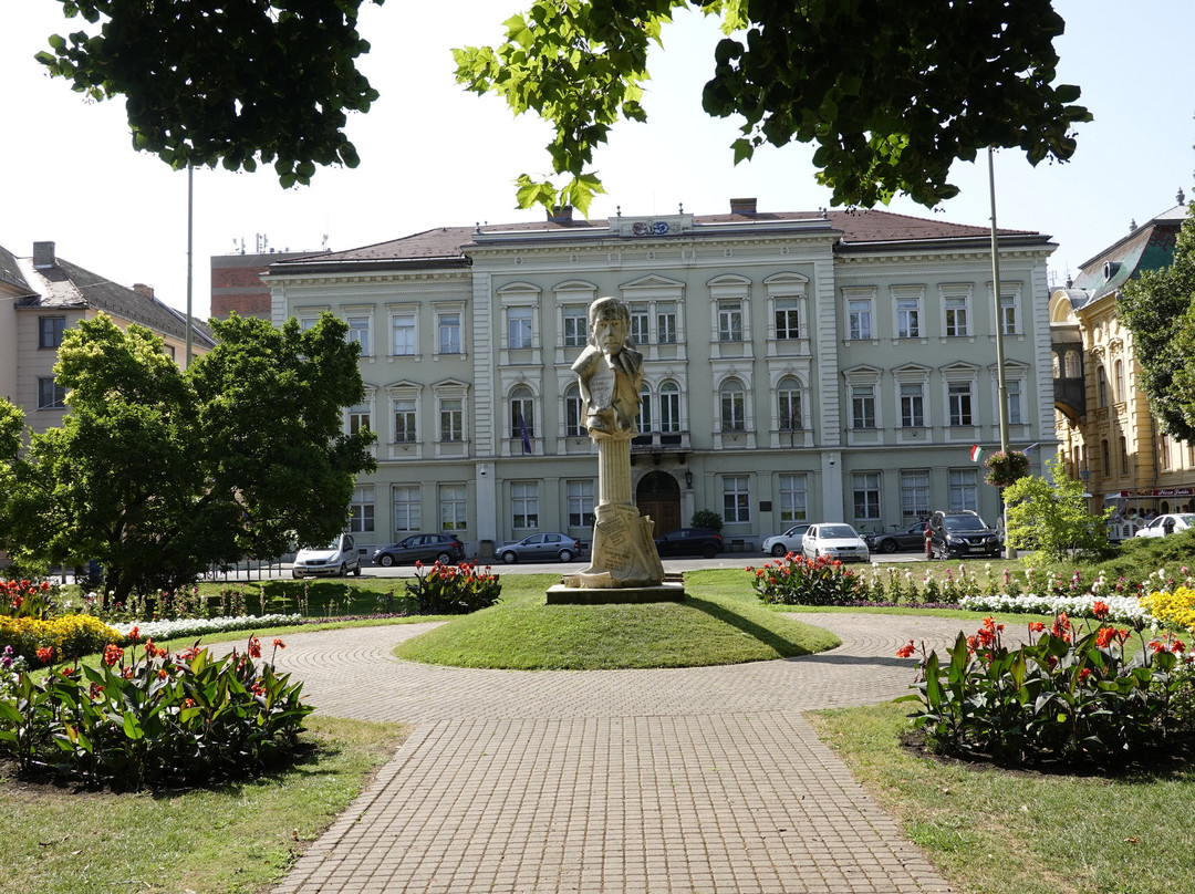 Széchenyi Square景点图片