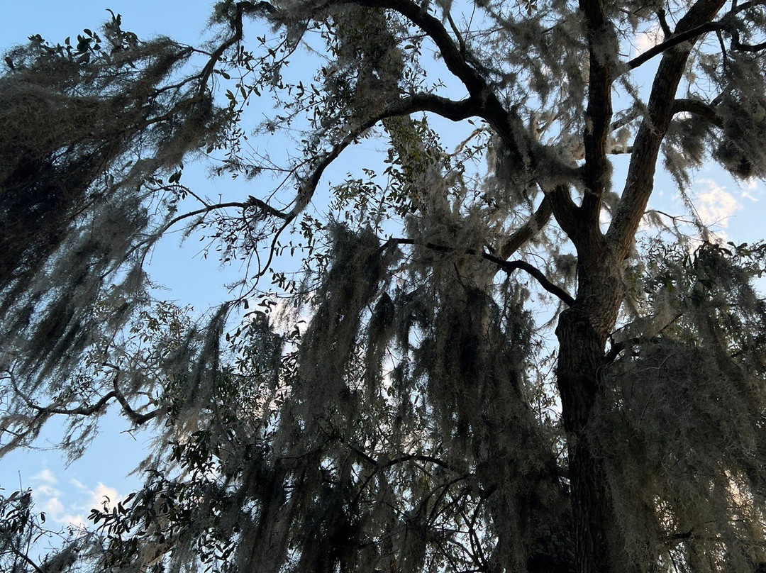 Shannon Scott Tours-萨凡纳必去景点