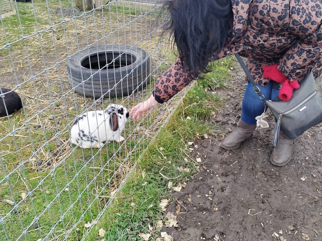 Apple Cast Farm-Newburgh必去景点