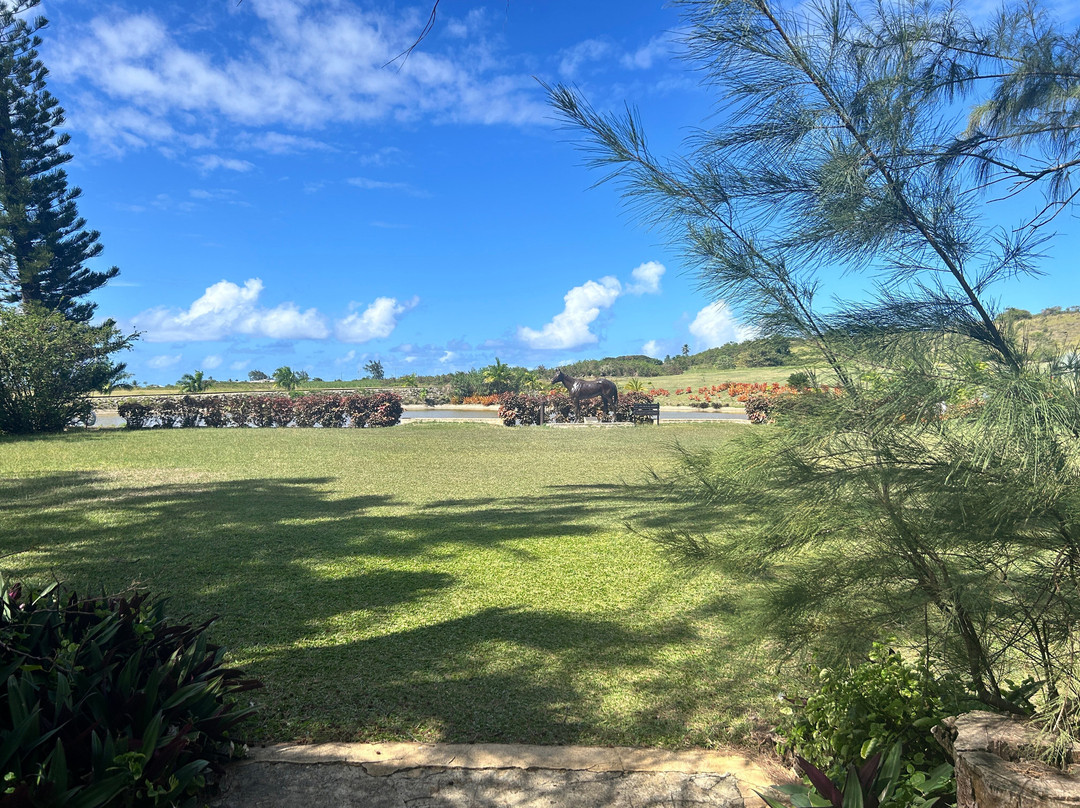 Beautiful Barbados Tours & Excursions Ltd景点图片