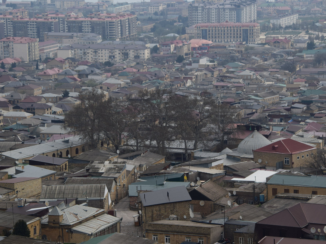 Architectural Complex Citadel Naryn-Kala景点图片