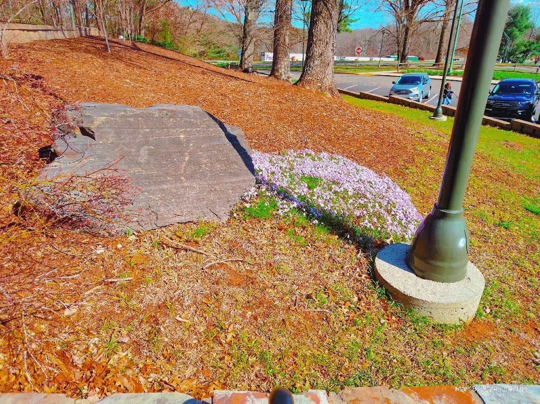 North Carolina Welcome Center景点图片
