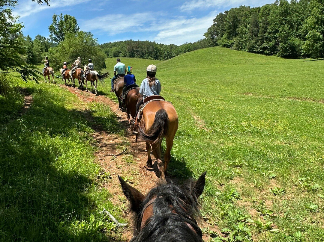 Blue Ridge Mountain Trail Rides At Hells Hollow景点图片