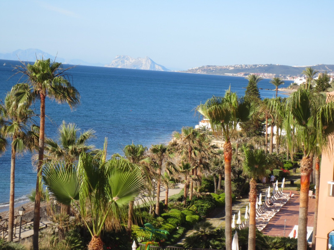 Elba Estepona Gran Hotel & Thalasso Spa主图